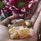 CELESTIAL Resin Blend + Incense Burner